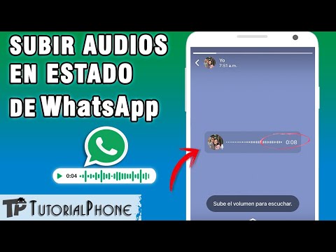 ¿Cómo poner un audio en el estado de WhatsApp?